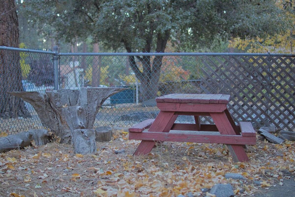 Ray'S Dear Cottage Wrightwood Dış mekan fotoğraf
